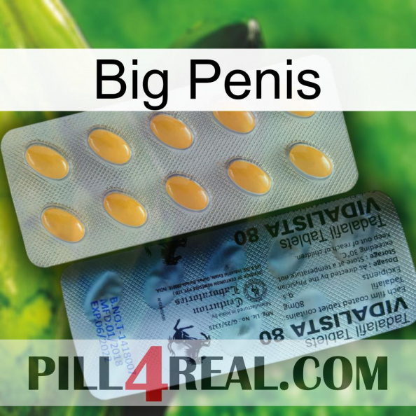 Big Penis 44.jpg